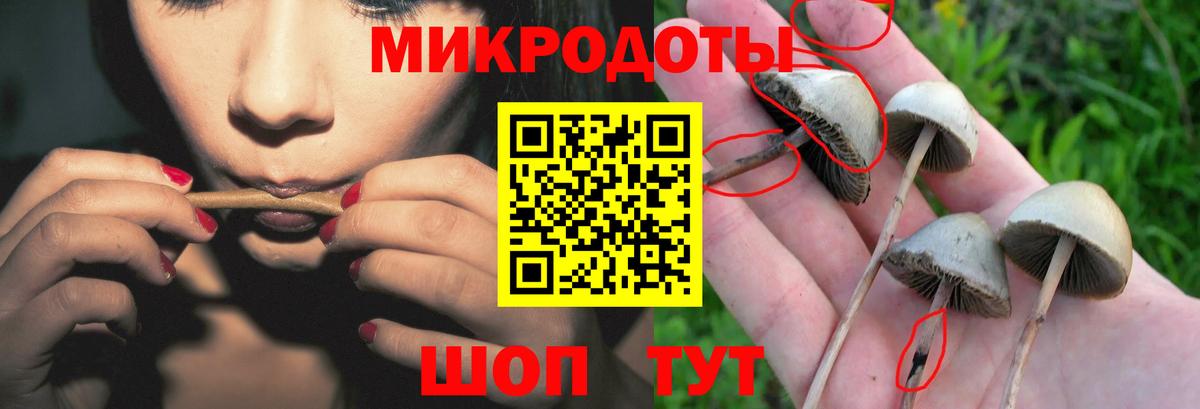 Галлюциногенные грибы прущие грибы  Вход с VPN  Изобильный 
